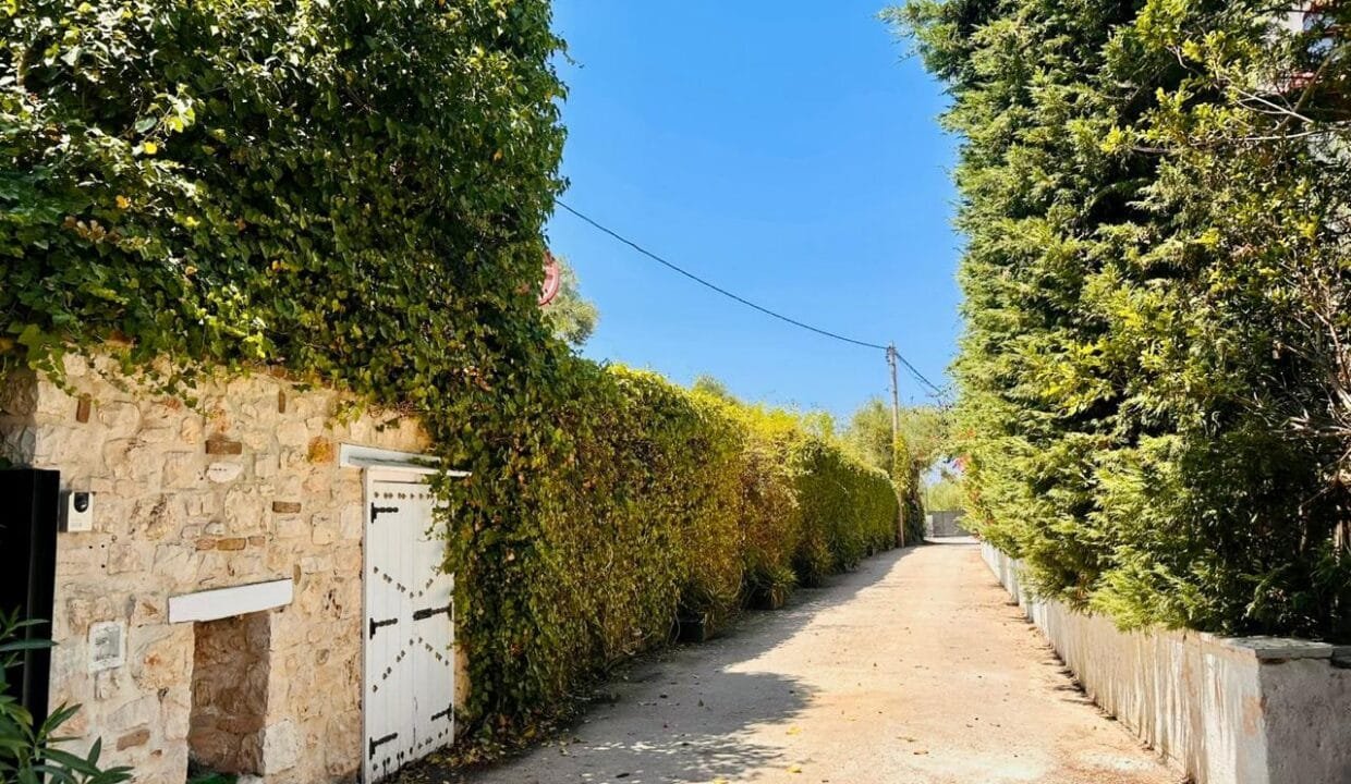 fask photos new (25)